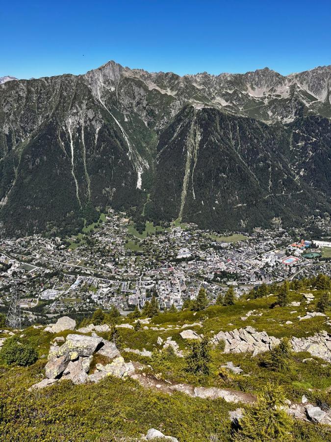 Le Nid De L'Aiguille - Au Pied De L'Aiguille Du Midi Apartamento Chamonix Exterior foto